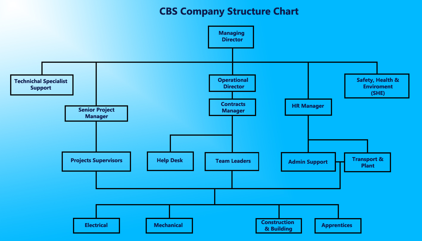 Company Structure